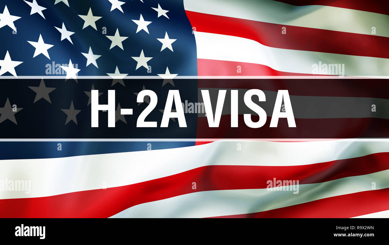 h-2a-visa-on-a-usa-flag-background-3d-rendering-united-states-of-america-flag-waving-in-the-wind-proud-american-flag-waving-american-h-2a-visa-con-R9X2WN.jpg